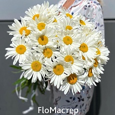 Букет 25 ромашек
