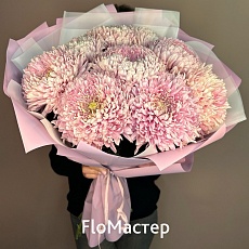 Букет 9 хризантем Holiday