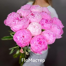 Букет 15 пионов Сара Бернар