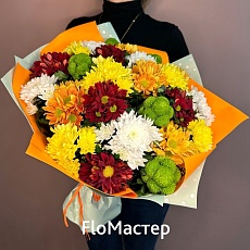 Букет 25 ярких кустовых хризантем микс