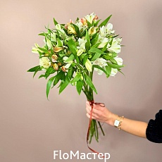 Букет 11  альстромерий
