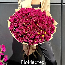 Букет 15 бордовых хризантем