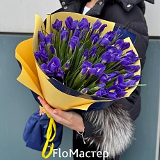 Букет 51 ирис