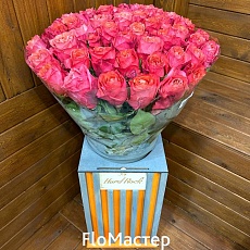 Роза Эквадор Hard Rock