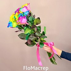 Букет 7 роз Эквадор Rainbow