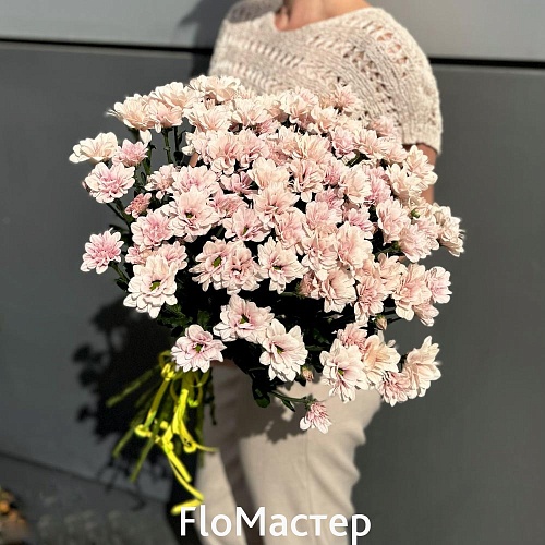 Букет 15 кустовых хризантем Babe Букет 15 кустовых хризантем Babe