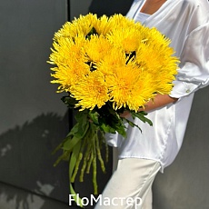Букет 15 желтых хризантем Peter