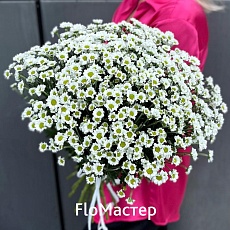 Букет 21 белая Сантини