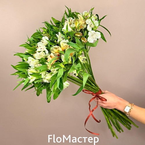 Букет 25 альстромерий