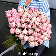 Букет 71 пион Sarah Bernhardt