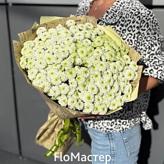 Букет 15 махровых хризантем