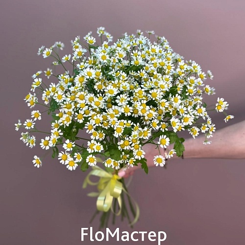 Букет 15 ромашек Camomilla
