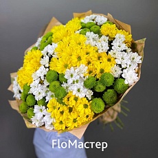 Букет 33 кустовые хризантемы микс