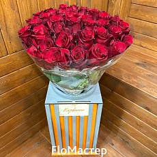 Роза Эквадор Explorer