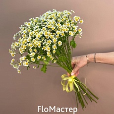 Букет 15 ромашек Camomilla