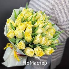 Букет 35 тюльпанов Verona