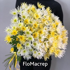 Букет 25 кустовых хризантем желто-белый микс