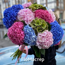 Букет гортензий Allegro