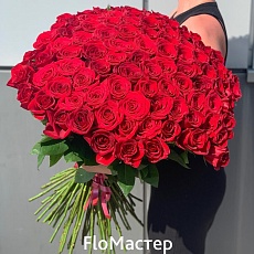 Букет 101 роза Эквадор Freedom