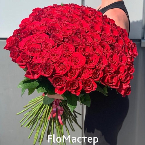 Букет 101 роза Эквадор Freedom