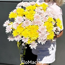 Букет Gala 25 кустовых хризантем микс