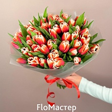 Букет 51 тюльпан Timeless
