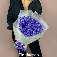 Букет 25 гиацинтов Atlantic