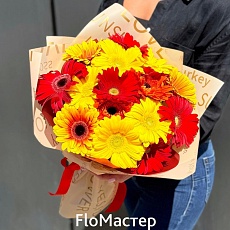 Букет 15 гербер Saffira