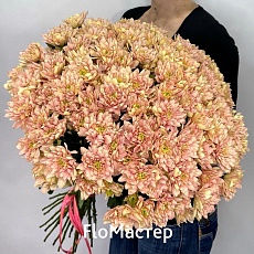 Букет 25 хризантем персиковых