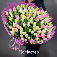 Букет 101 тюльпан Memphis
