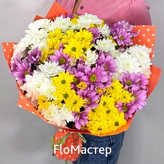 Букет 29 хризантем микс