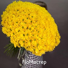 Букет 25 желтых хризантем