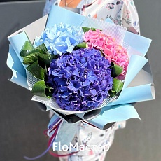 Букет 3 гортензии микс Magical