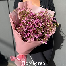 Букет из розового хамелациума