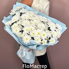 Букет 15 белых кустовых хризантем Pina Colada