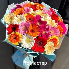 Букет 33 гермини микс