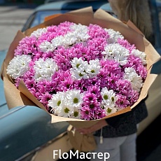 Букет 33 кустовые хризантемы белые и розовые