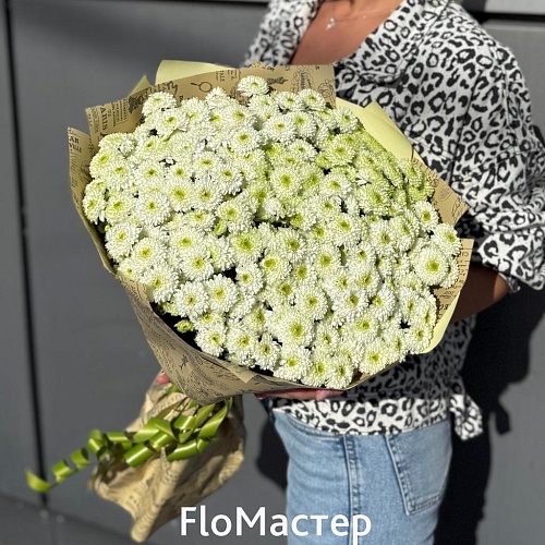 Букет 15 махровых хризантем