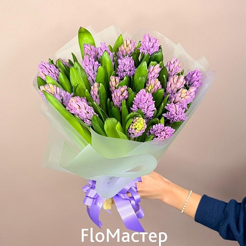 Букет 25 фиолетовых гиацинтов