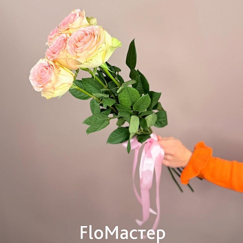 Букет 5 роз Эквадор Esperance