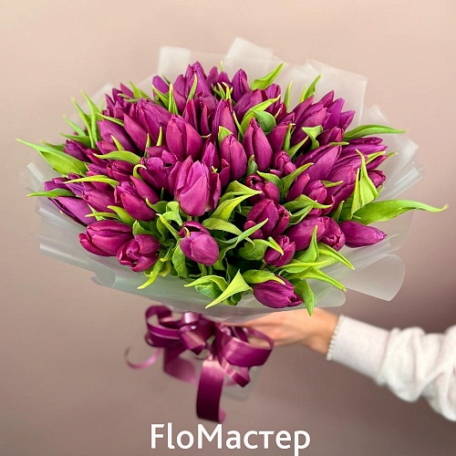 Букет 51 тюльпан Purple