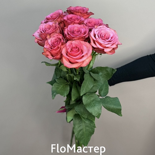Букет 9 малиновых роз Lola (Эквадор)