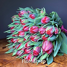 Букет 51 тюльпан Red Princess Ван Гог