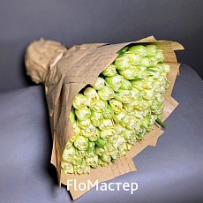 Букет 101 тюльпан Verona