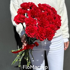 Букет 20 красных гвоздик