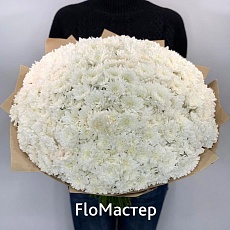 Букет 101 белая хризантема