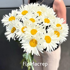 Букет 15 ромашек