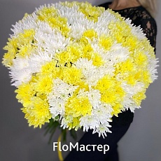 Букет 33 хризантемы желто-белый микс