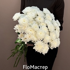 Букет 9 белых кустовых хризантем