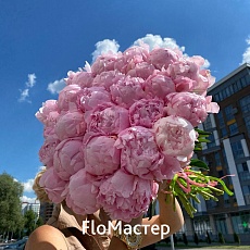 Букет 25 пионов Mone